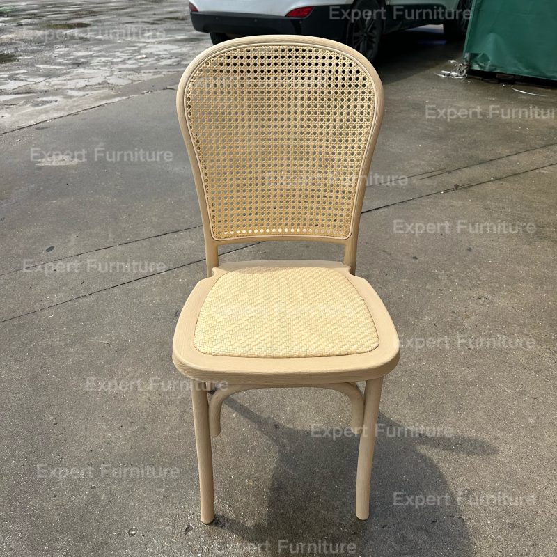 Rattan Back Resin Chair