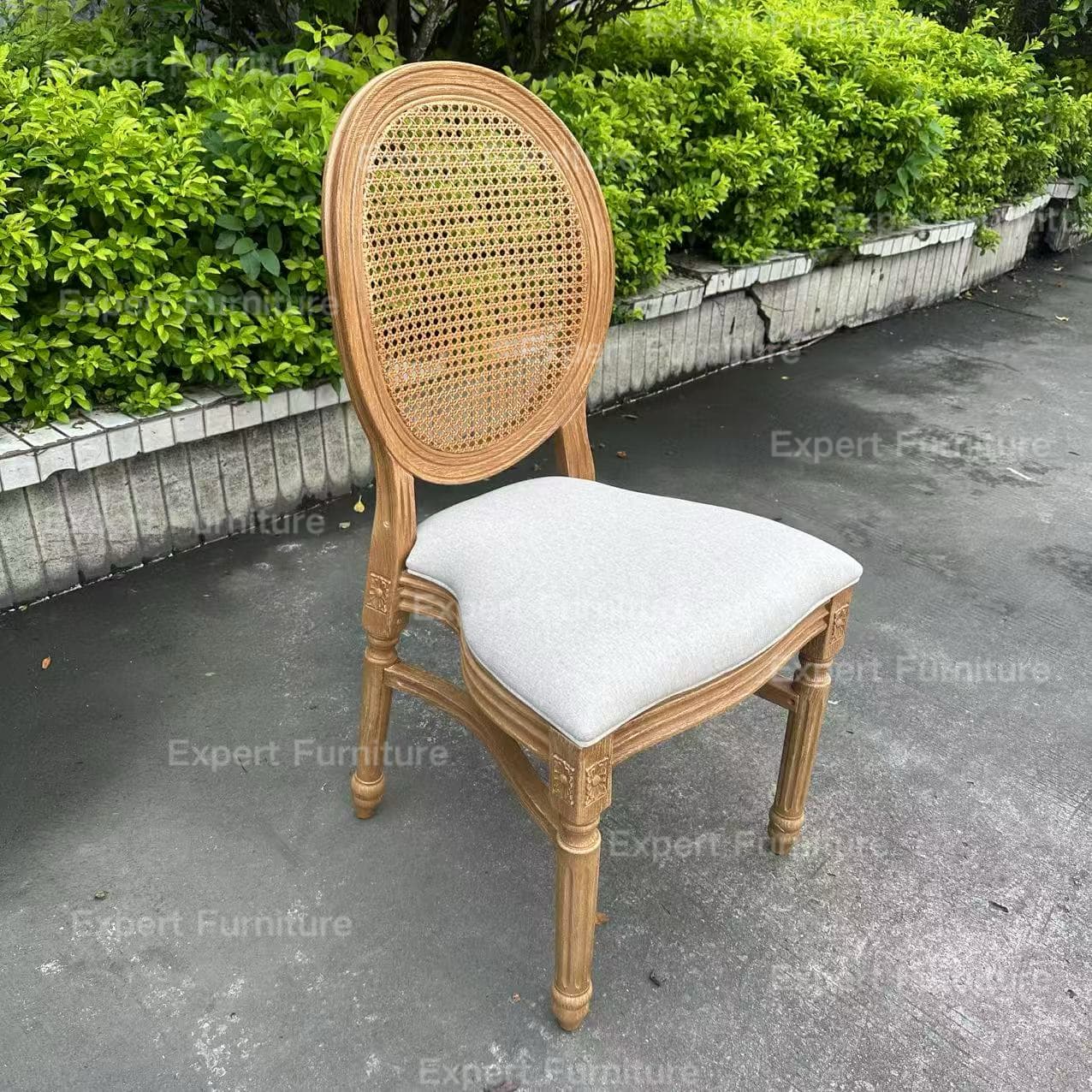 Resin Luis Chair with Rattan Back